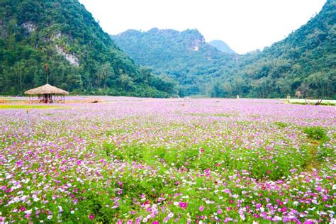  Bắc Sơn: Thung lũng cổ tích giữa lòng thành phố Nanchang !