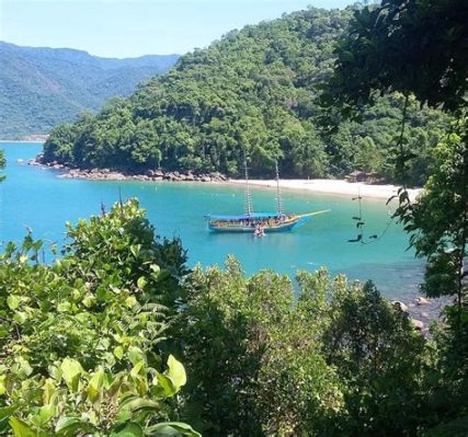  Praia do Bonete: Một Chốn Thiền Tịch Rộng Lớn Và Nước Biển Xanh Ngọc